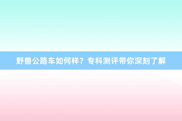 野兽公路车如何样？专科测评带你深刻了解
