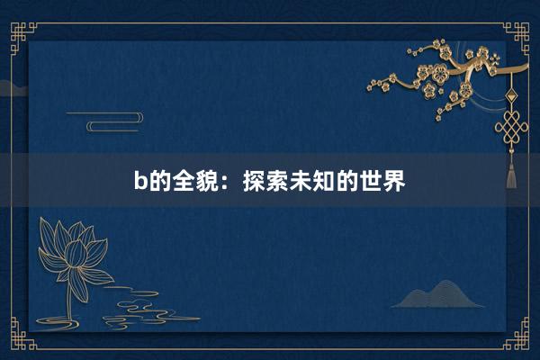 b的全貌：探索未知的世界